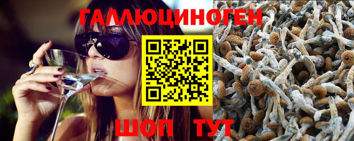 Псилоцибиновые грибы ЛСД  где купить   Южноуральск  Вход с VPN 